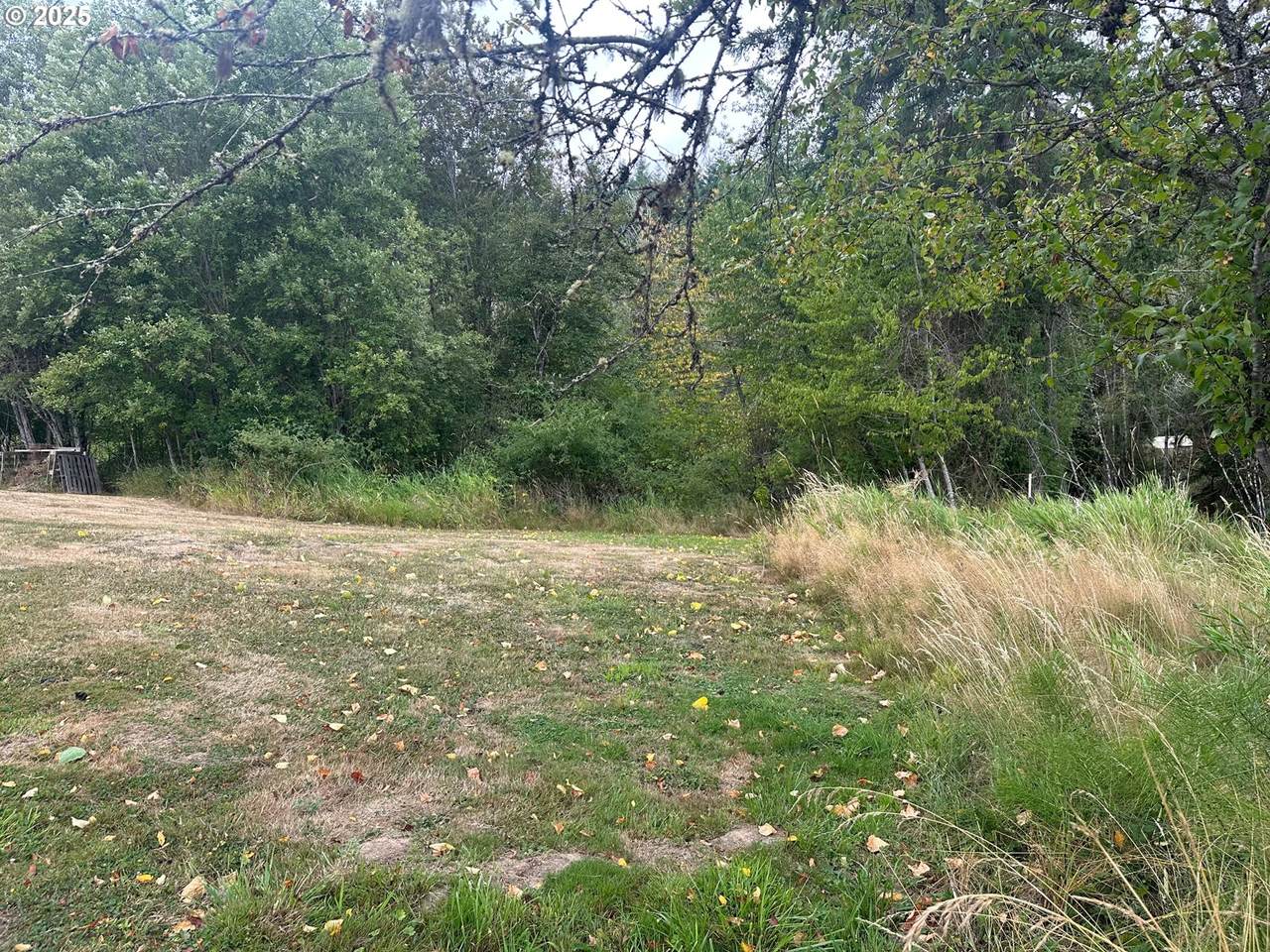 https://bt-photos.global.ssl.fastly.net/portland/1280_boomver_1_632104703-2.jpg