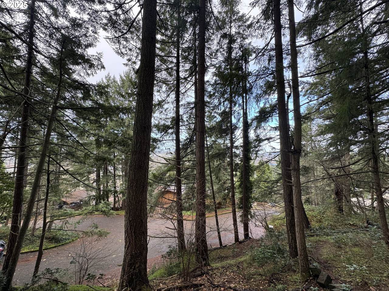 https://bt-photos.global.ssl.fastly.net/portland/1280_boomver_1_635563703-2.jpg