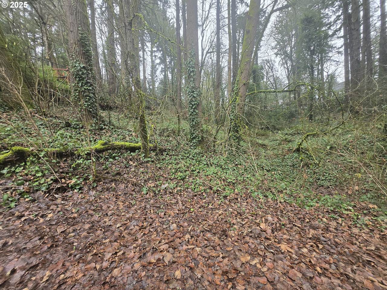 https://bt-photos.global.ssl.fastly.net/portland/1280_boomver_1_636104436-2.jpg