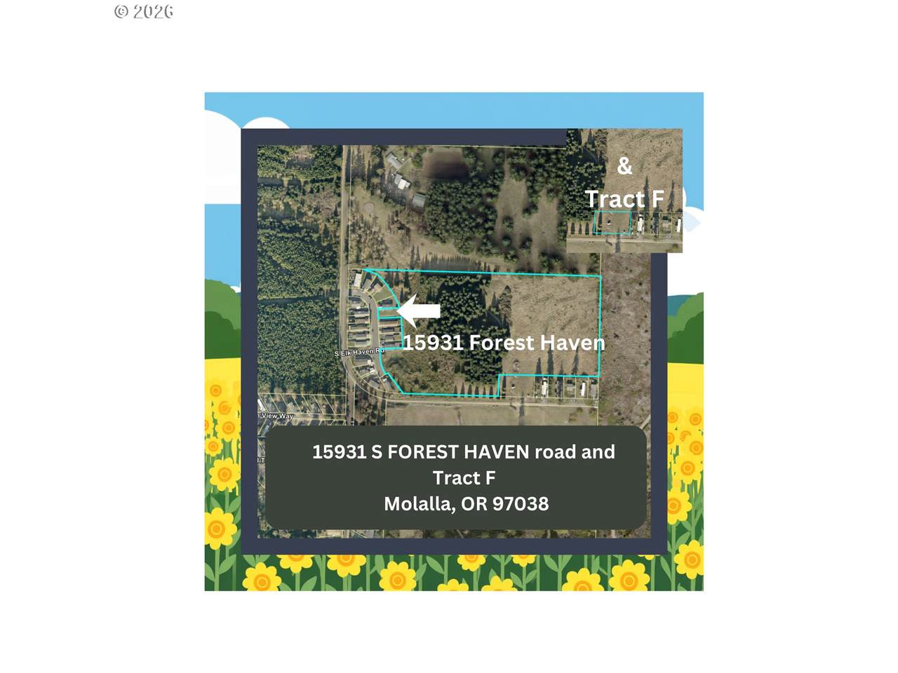 15931 Forest Haven And  F Rd - Photo 1