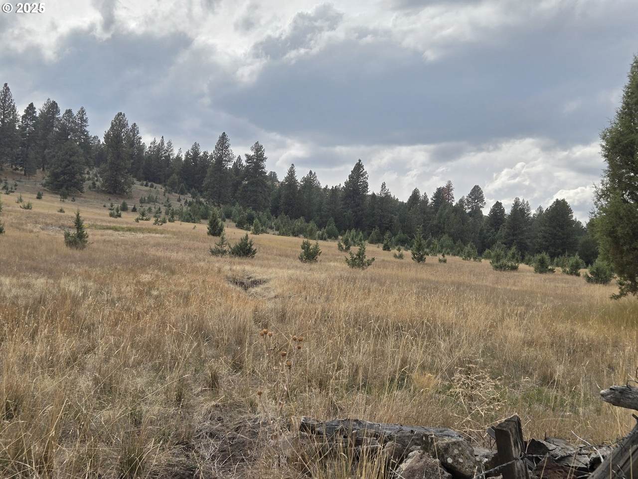https://bt-photos.global.ssl.fastly.net/portland/1280_boomver_1_637530329-2.jpg