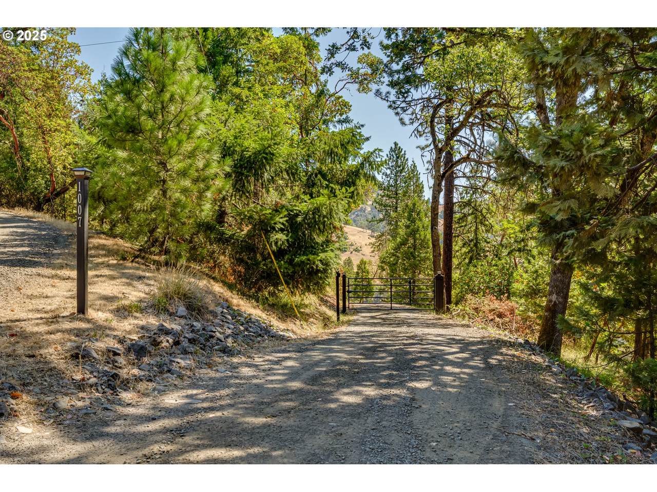 1007 Wild Iris Ln - Photo 1