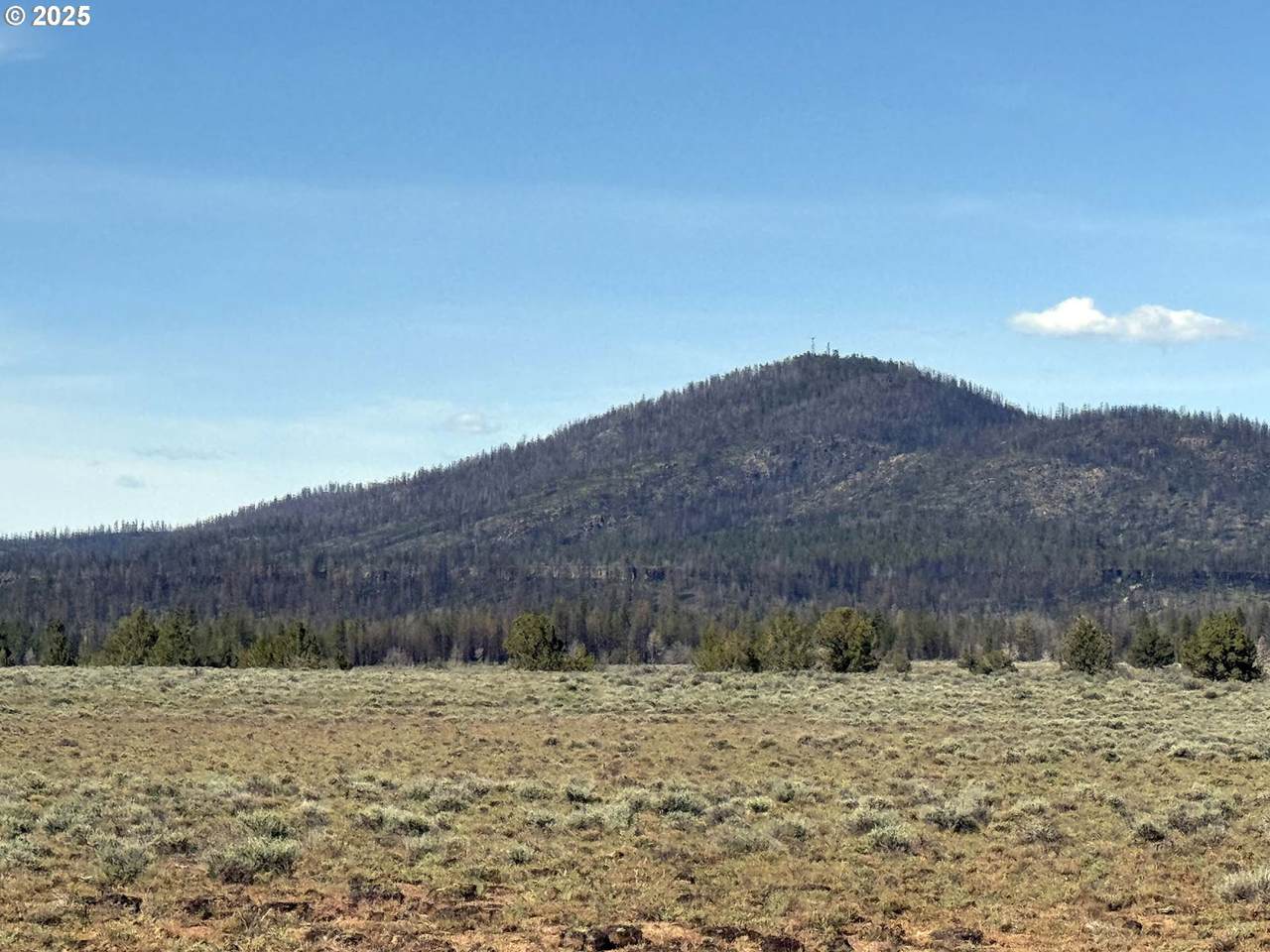  Oregon Pines Road - Photo 1