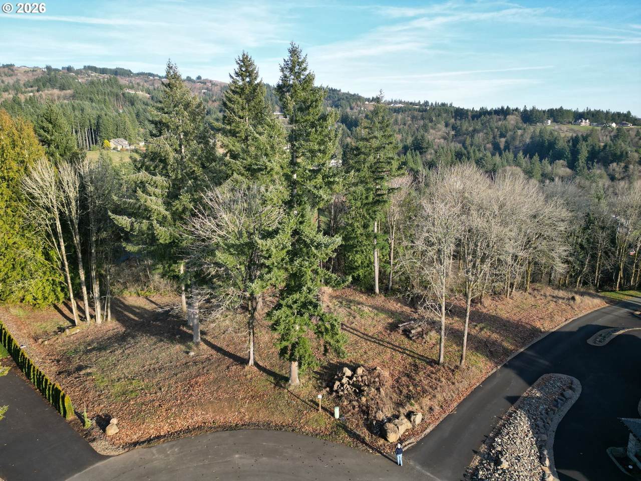 0 Olivia Ln - Photo 1