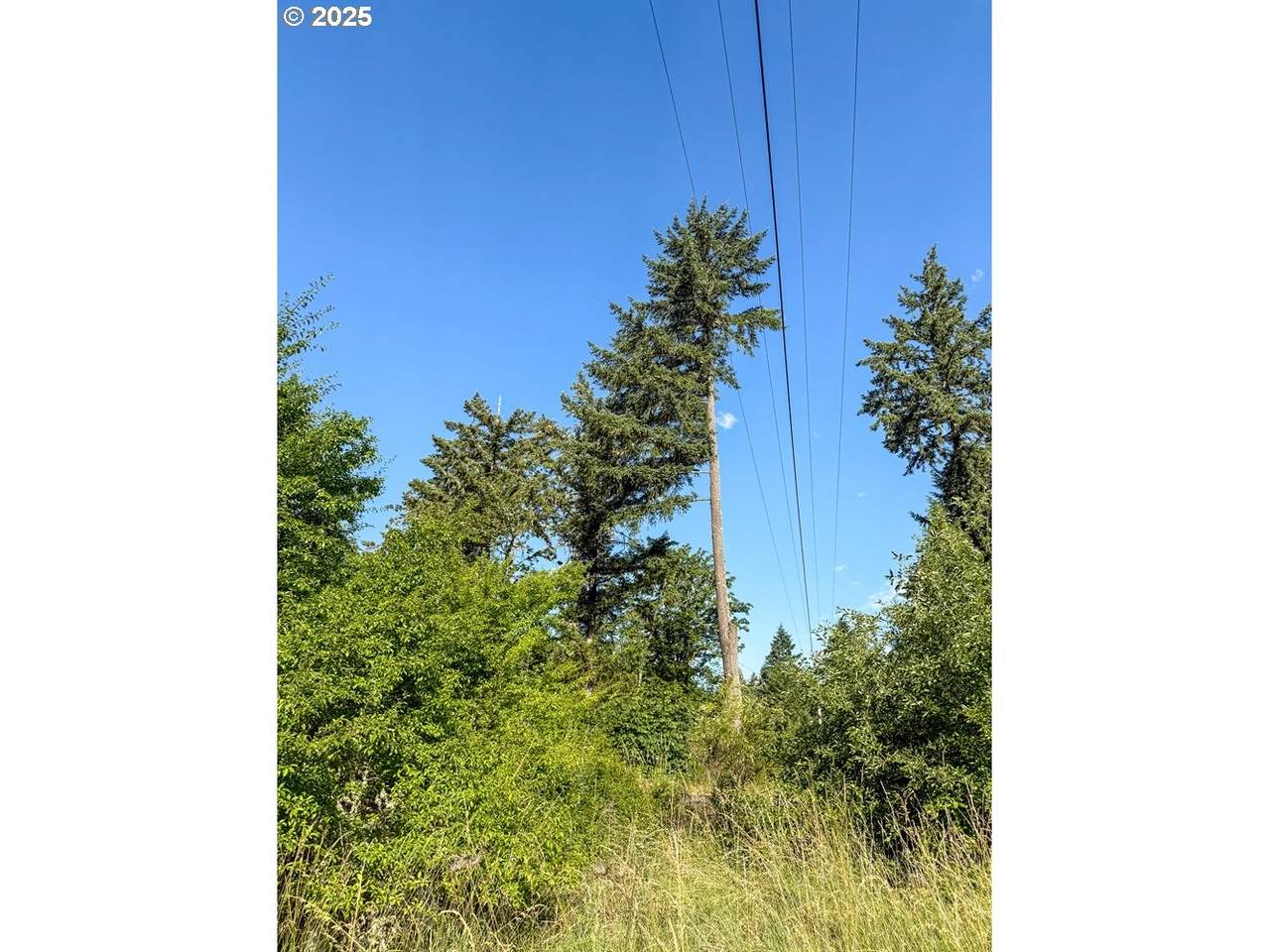 https://bt-photos.global.ssl.fastly.net/portland/1280_boomver_1_647891153-2.jpg