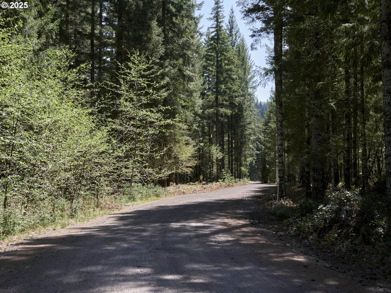 https://bt-photos.global.ssl.fastly.net/portland/1280_boomver_1_649746591-2.jpg