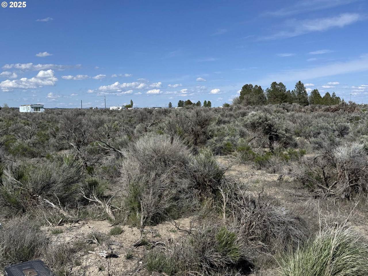  N. Maple Circle - Photo 1