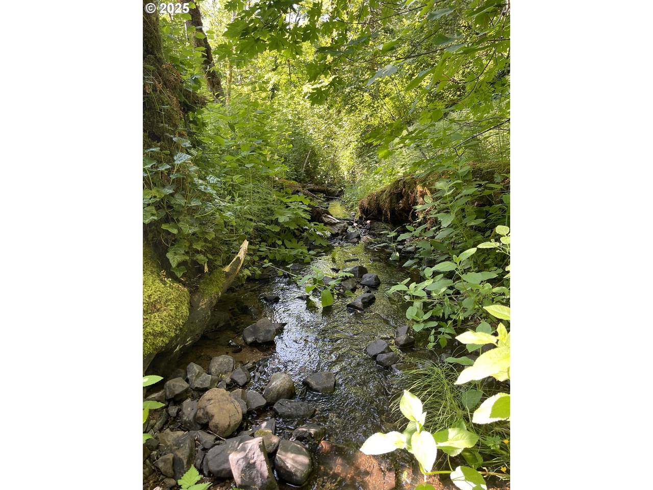  Rock Creek Rd - Photo 1