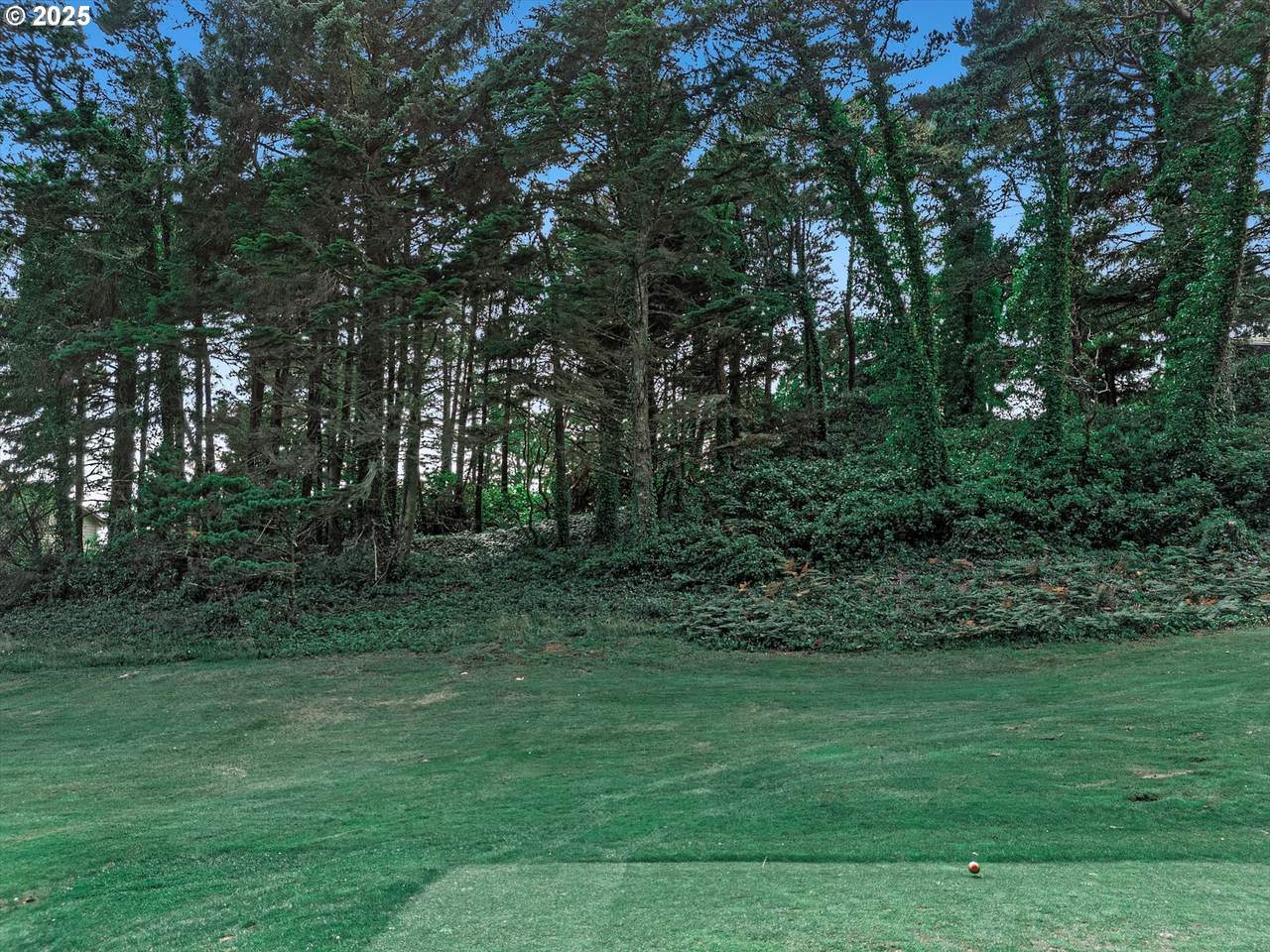 17 Ocean Crest Ln - Photo 1