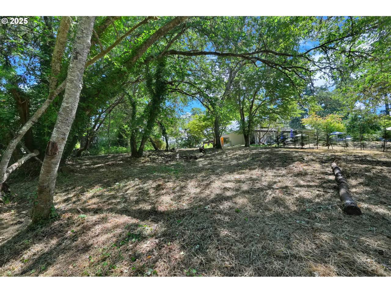 0 Storey Blvd - Photo 1