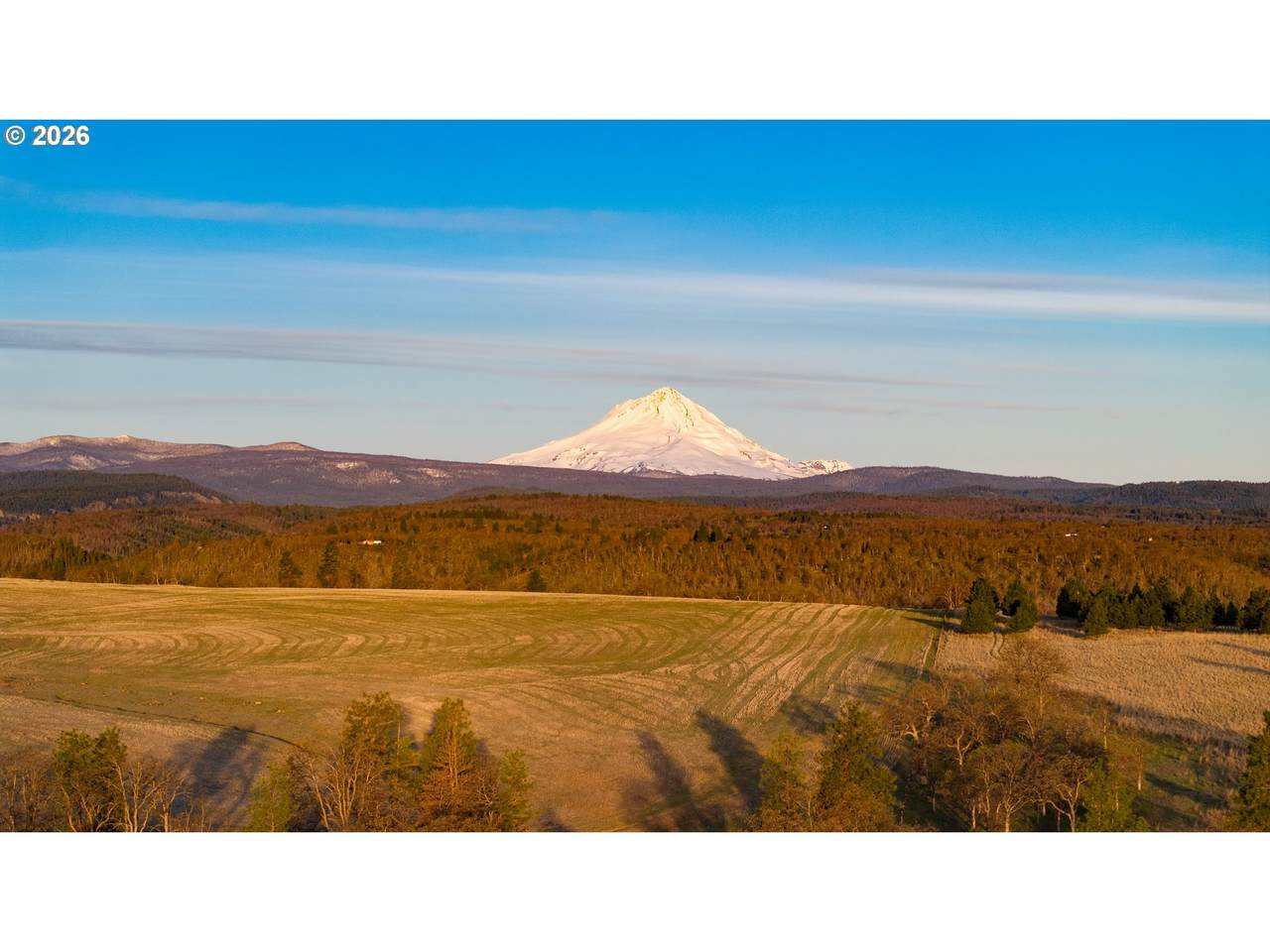 https://bt-photos.global.ssl.fastly.net/portland/1280_boomver_1_654887848-2.jpg
