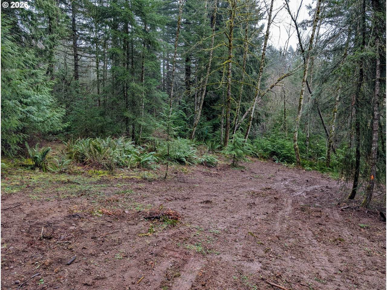 https://bt-photos.global.ssl.fastly.net/portland/1280_boomver_1_656838359-2.jpg