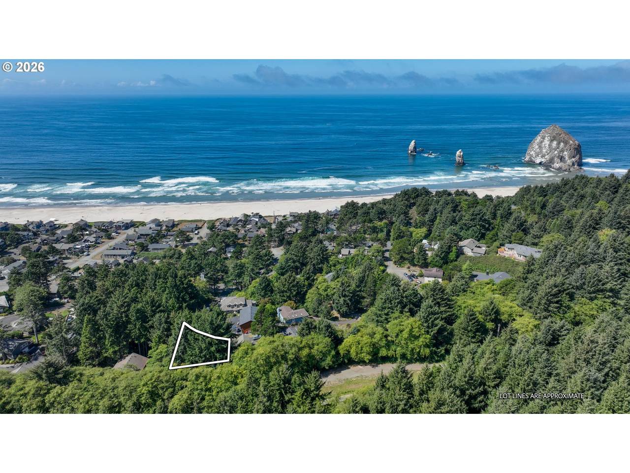 415 Chilkoot Trl - Photo 1