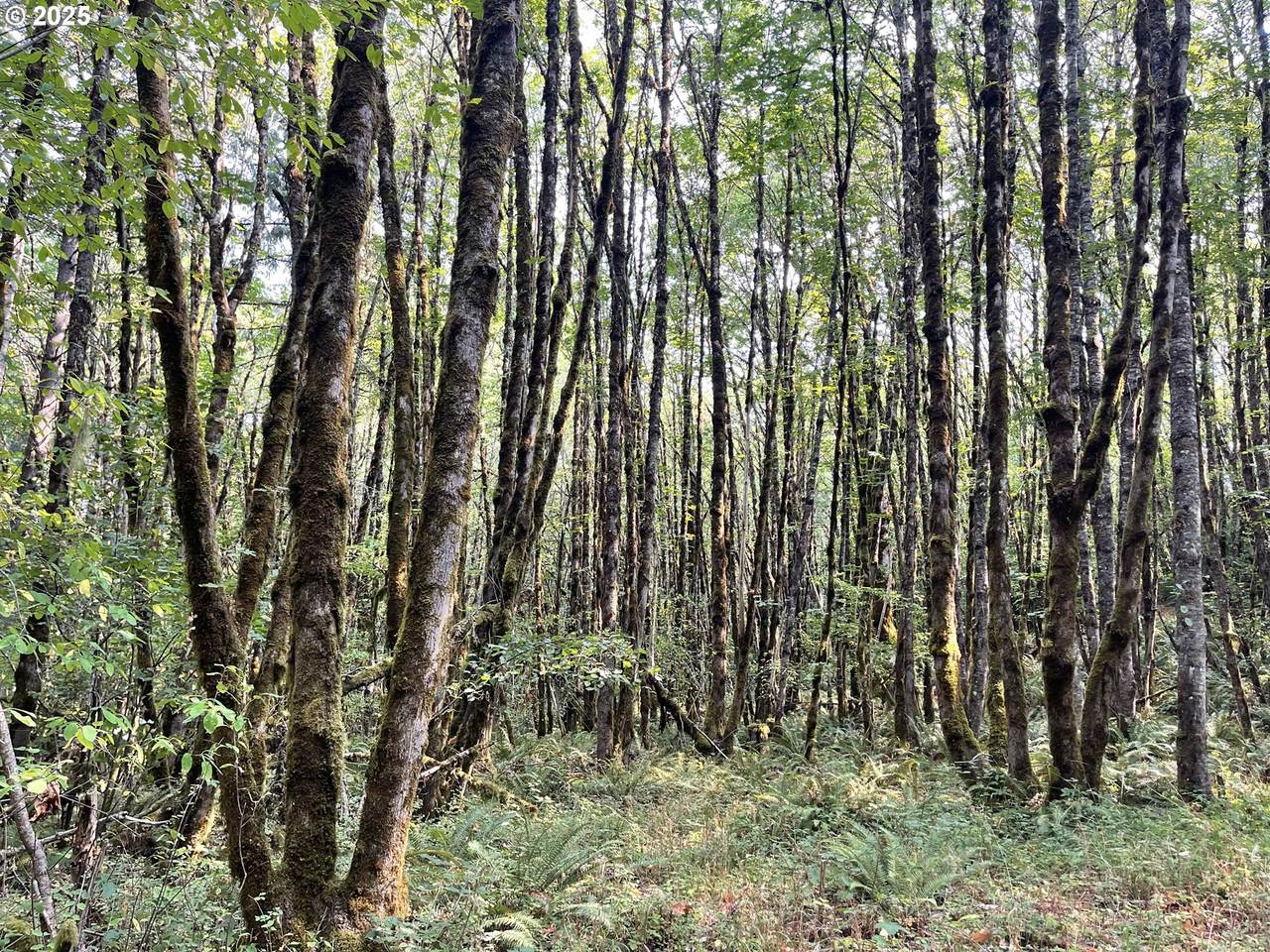 25560 Valley View Ln - Photo 1