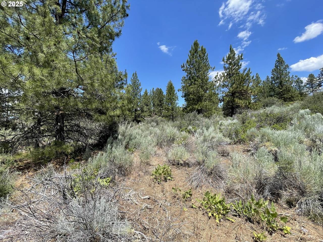  Kna Legget Drive - Photo 1