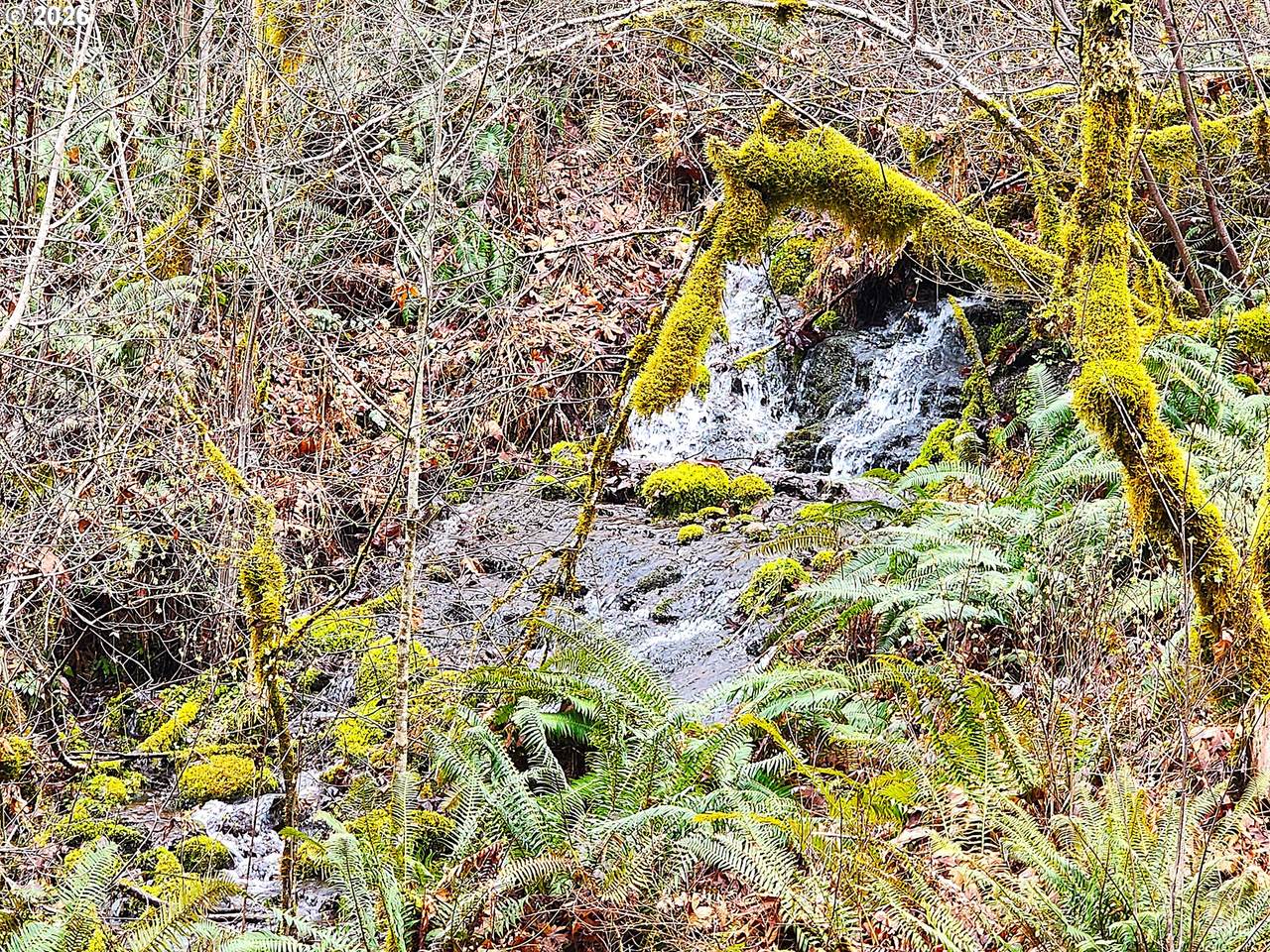 https://bt-photos.global.ssl.fastly.net/portland/1280_boomver_1_672902593-2.jpg