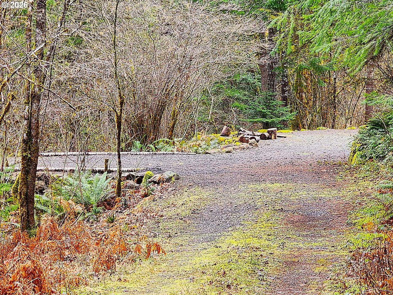 https://bt-photos.global.ssl.fastly.net/portland/1280_boomver_1_672902593-2.jpg