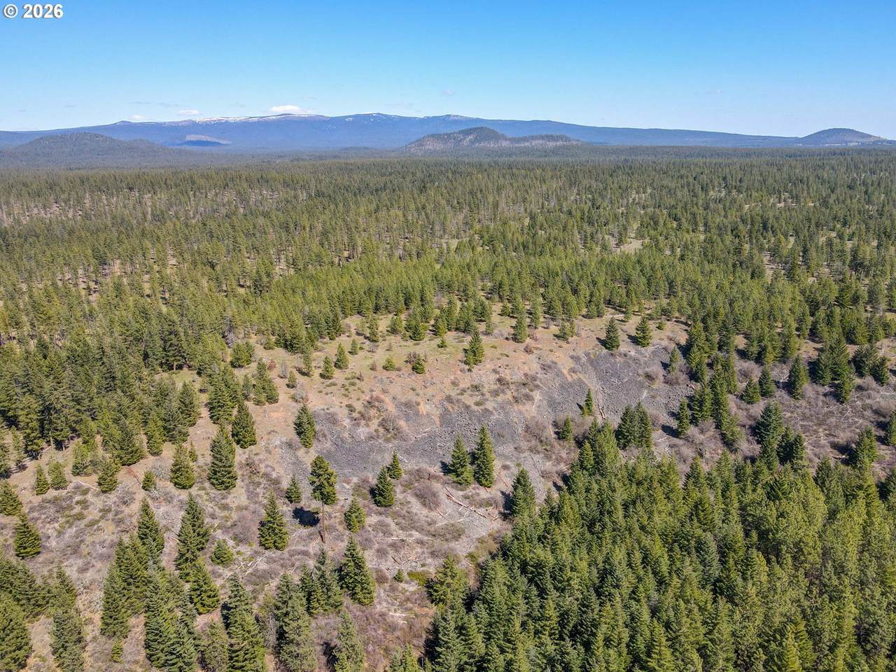 https://bt-photos.global.ssl.fastly.net/portland/1280_boomver_1_673583938-2.jpg