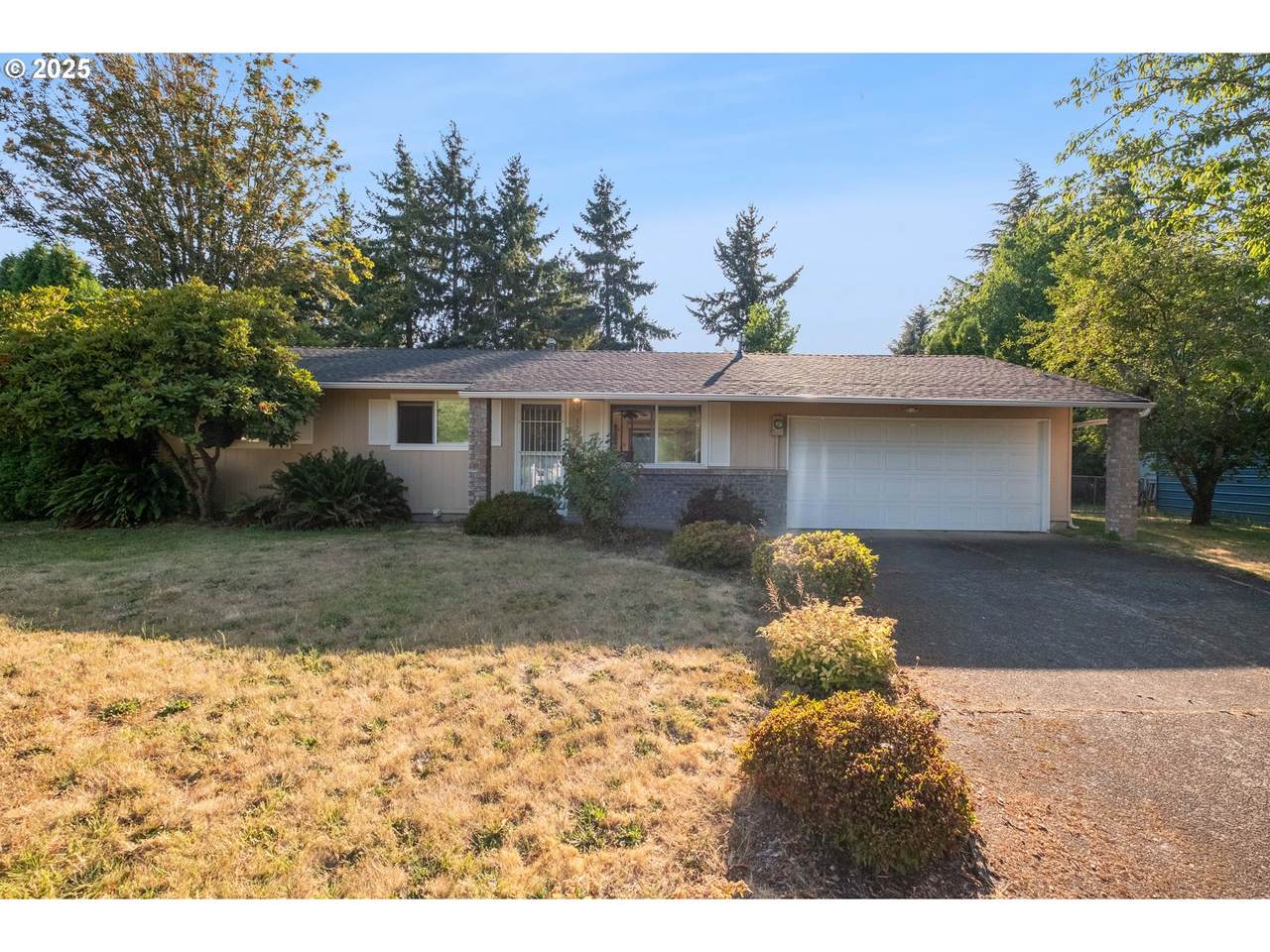3724 Alladin Way - Photo 1