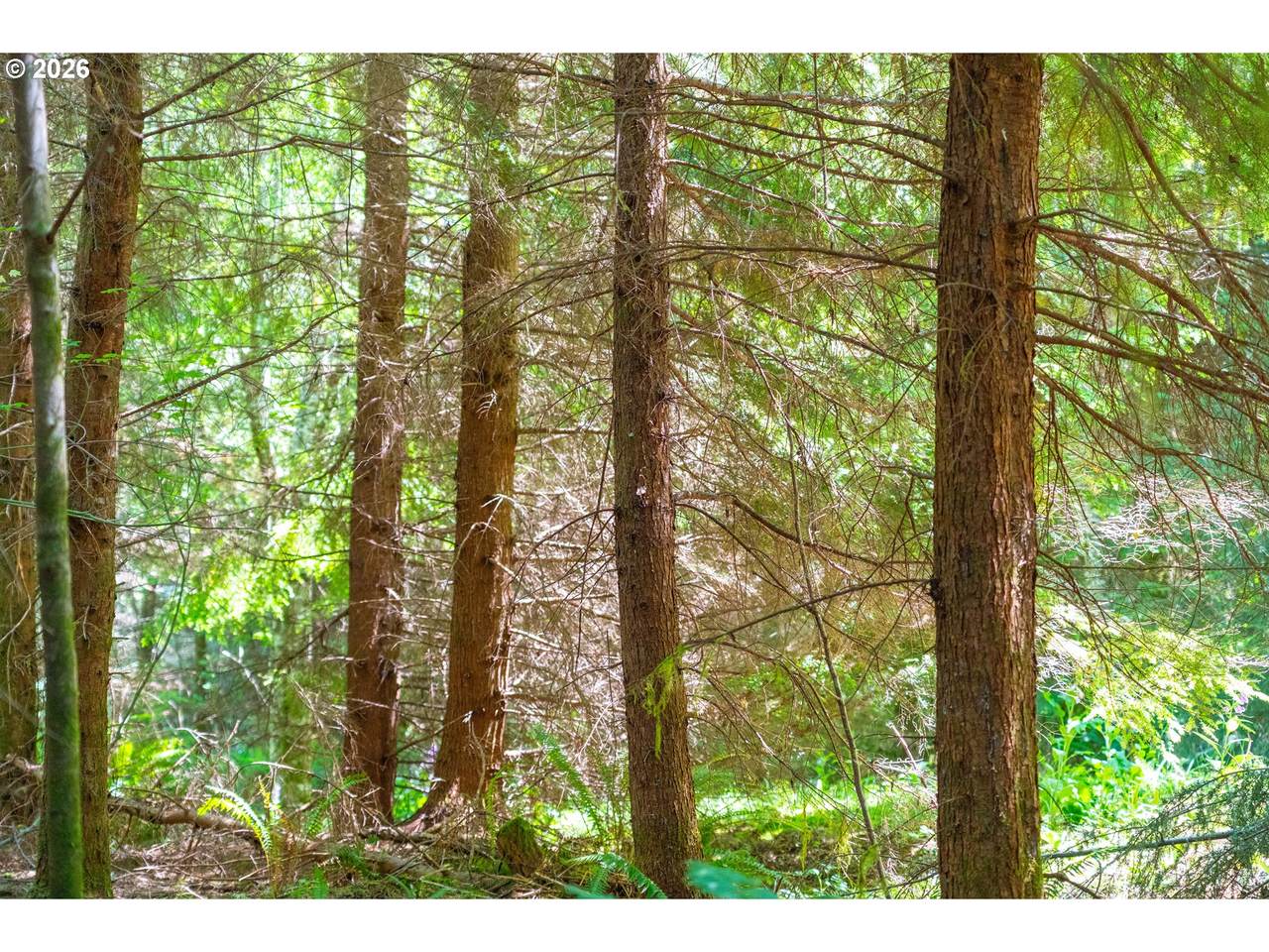 https://bt-photos.global.ssl.fastly.net/portland/1280_boomver_1_674770235-2.jpg