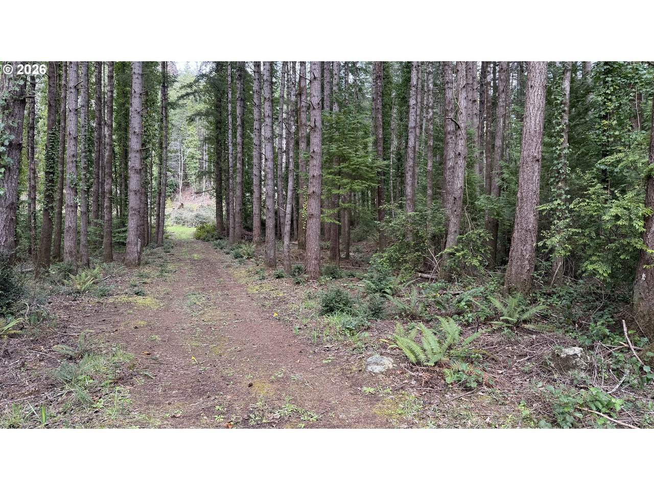https://bt-photos.global.ssl.fastly.net/portland/1280_boomver_1_675438824-2.jpg