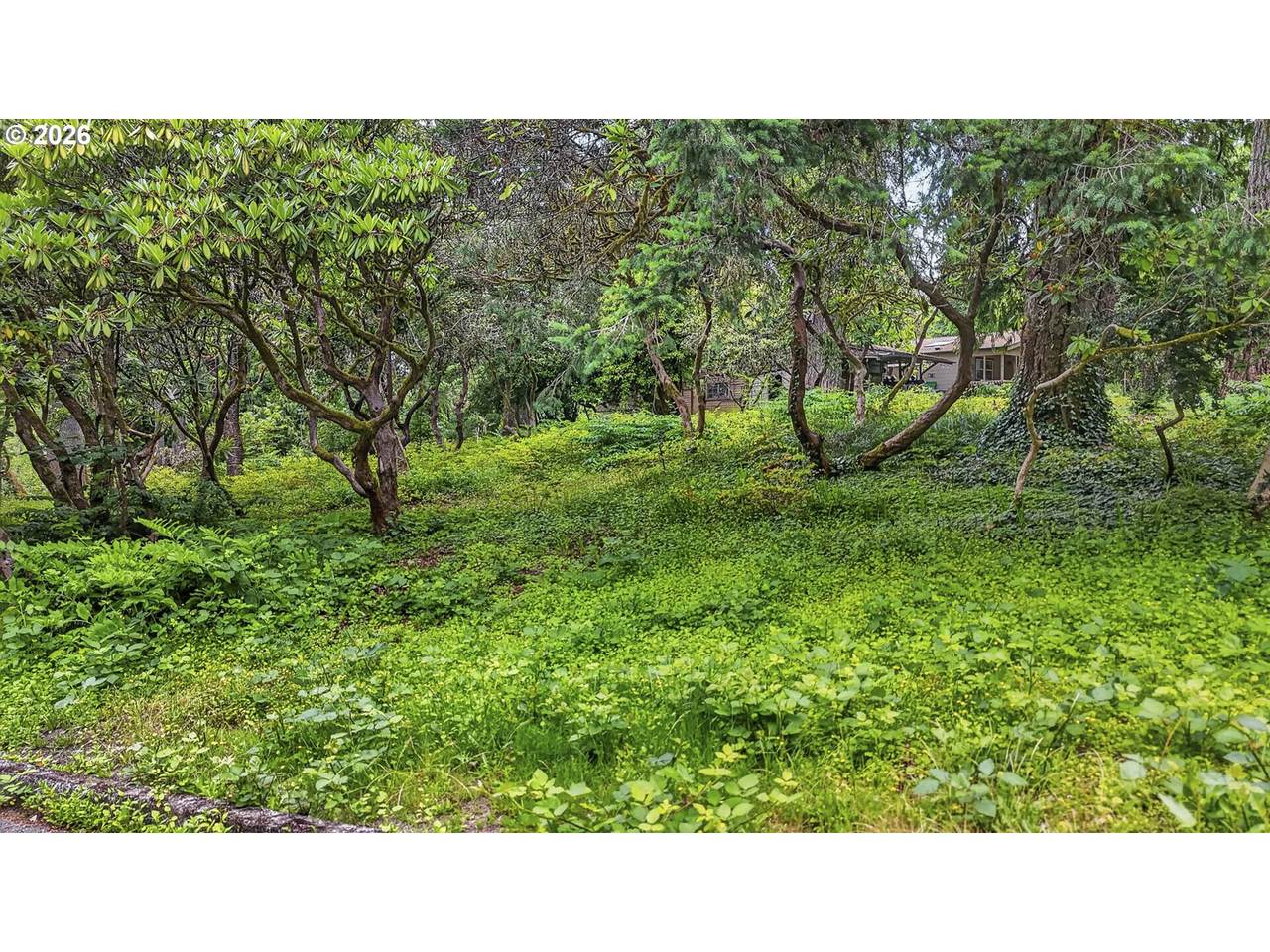 https://bt-photos.global.ssl.fastly.net/portland/1280_boomver_1_676141520-2.jpg