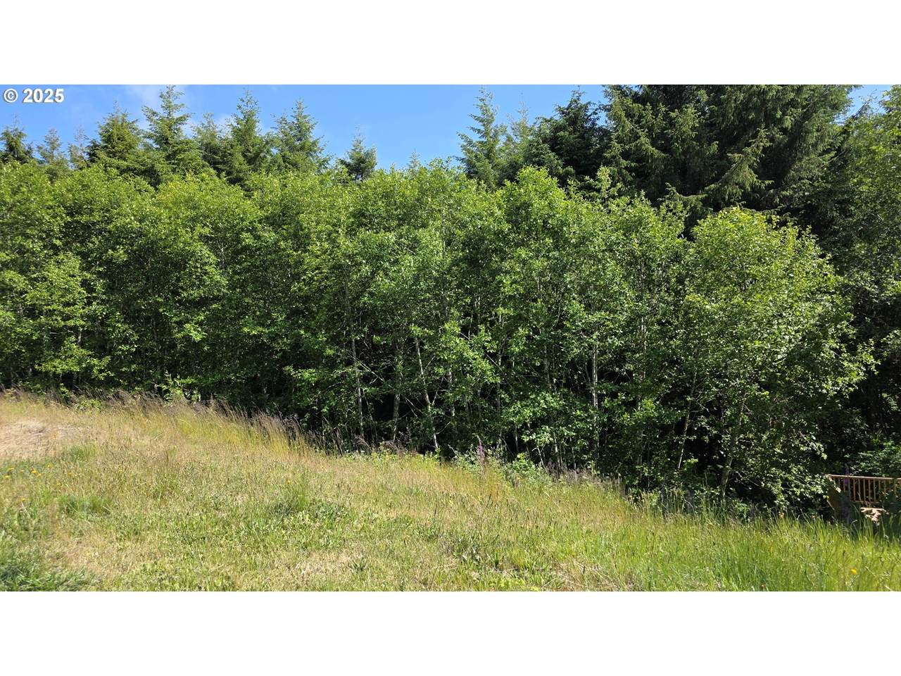  Ocn Hghlnd-Sequoia Loop - Photo 1