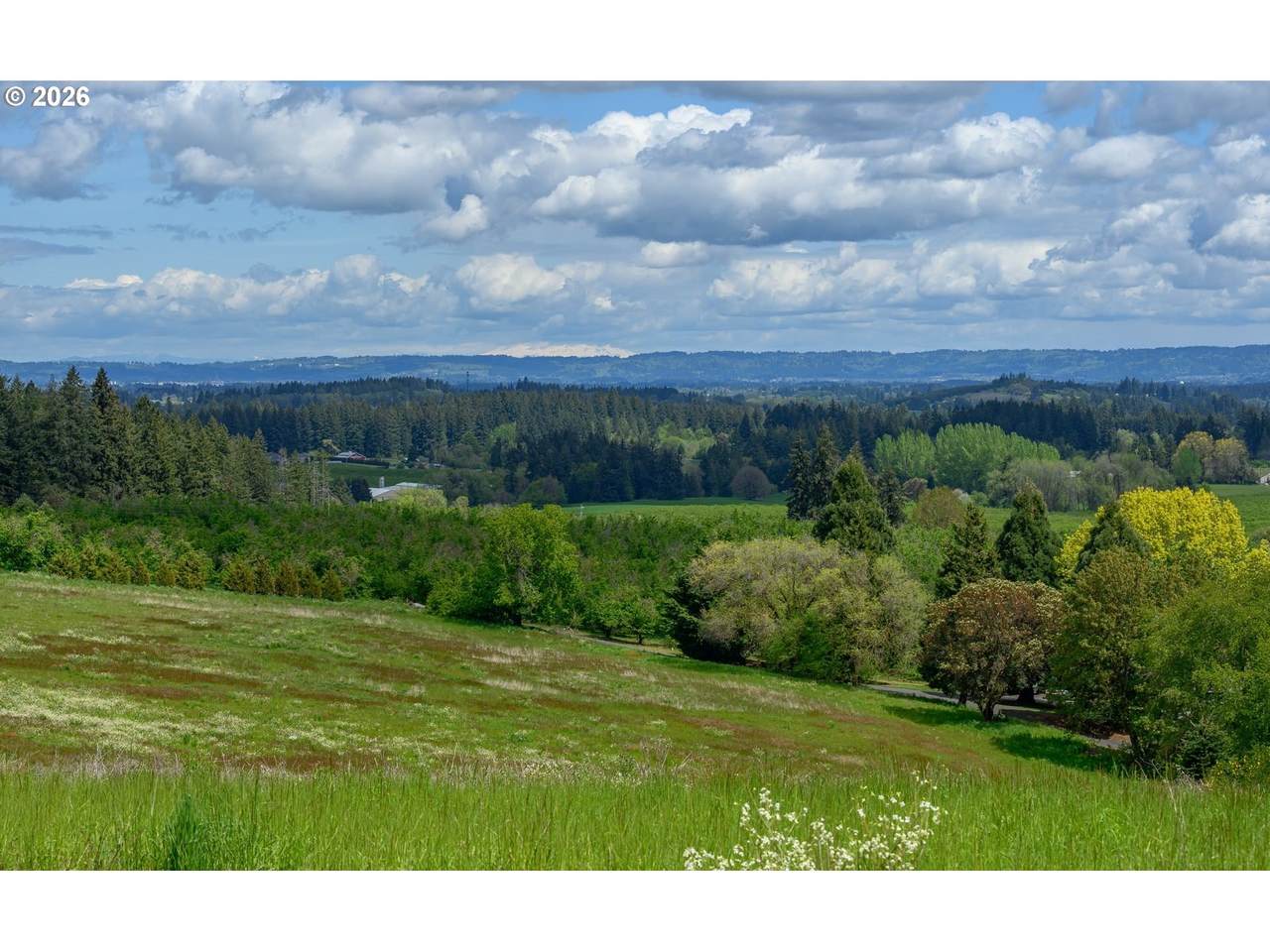 https://bt-photos.global.ssl.fastly.net/portland/1280_boomver_1_682360580-2.jpg