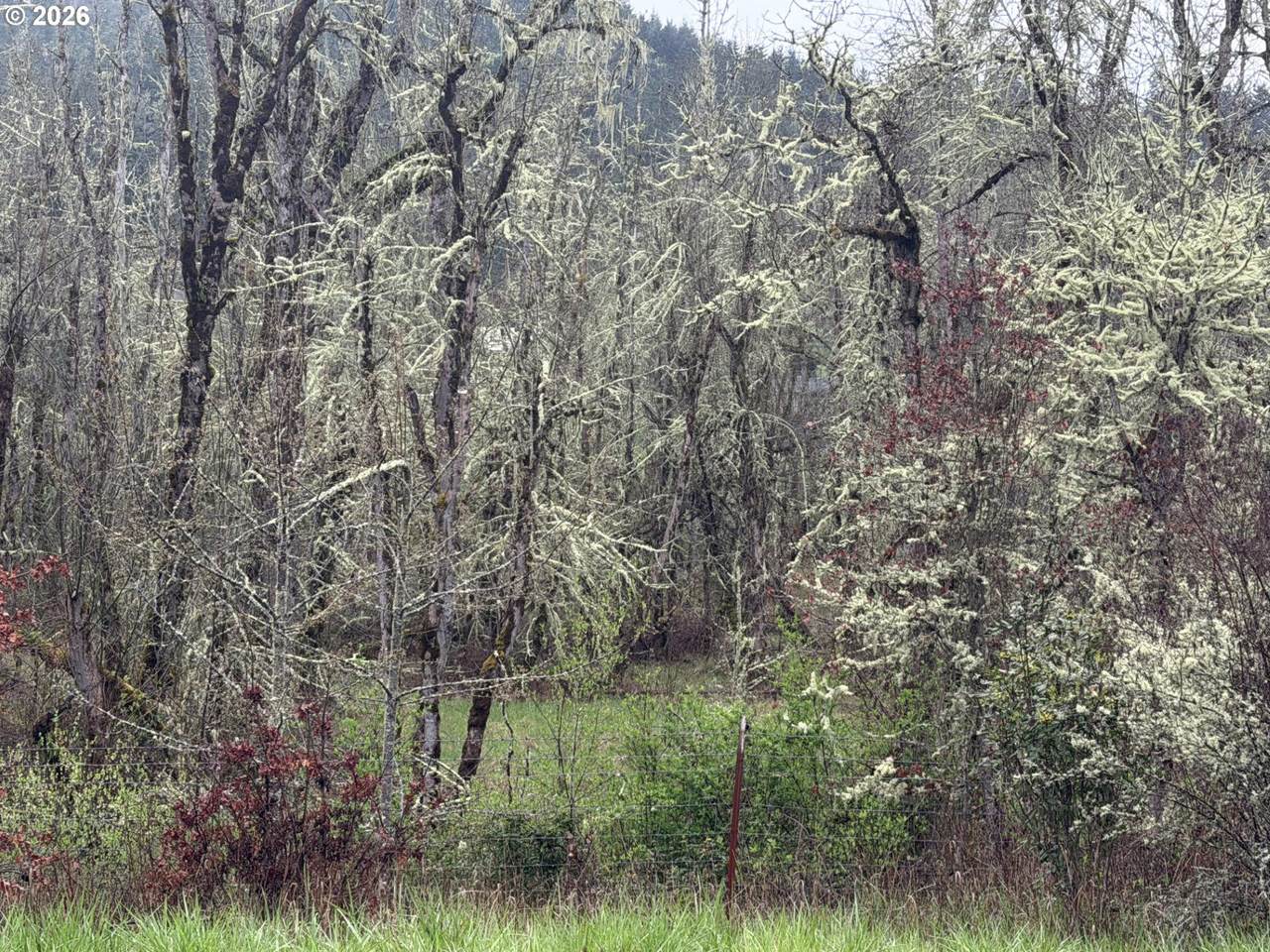 https://bt-photos.global.ssl.fastly.net/portland/1280_boomver_2_685102916-2.jpg