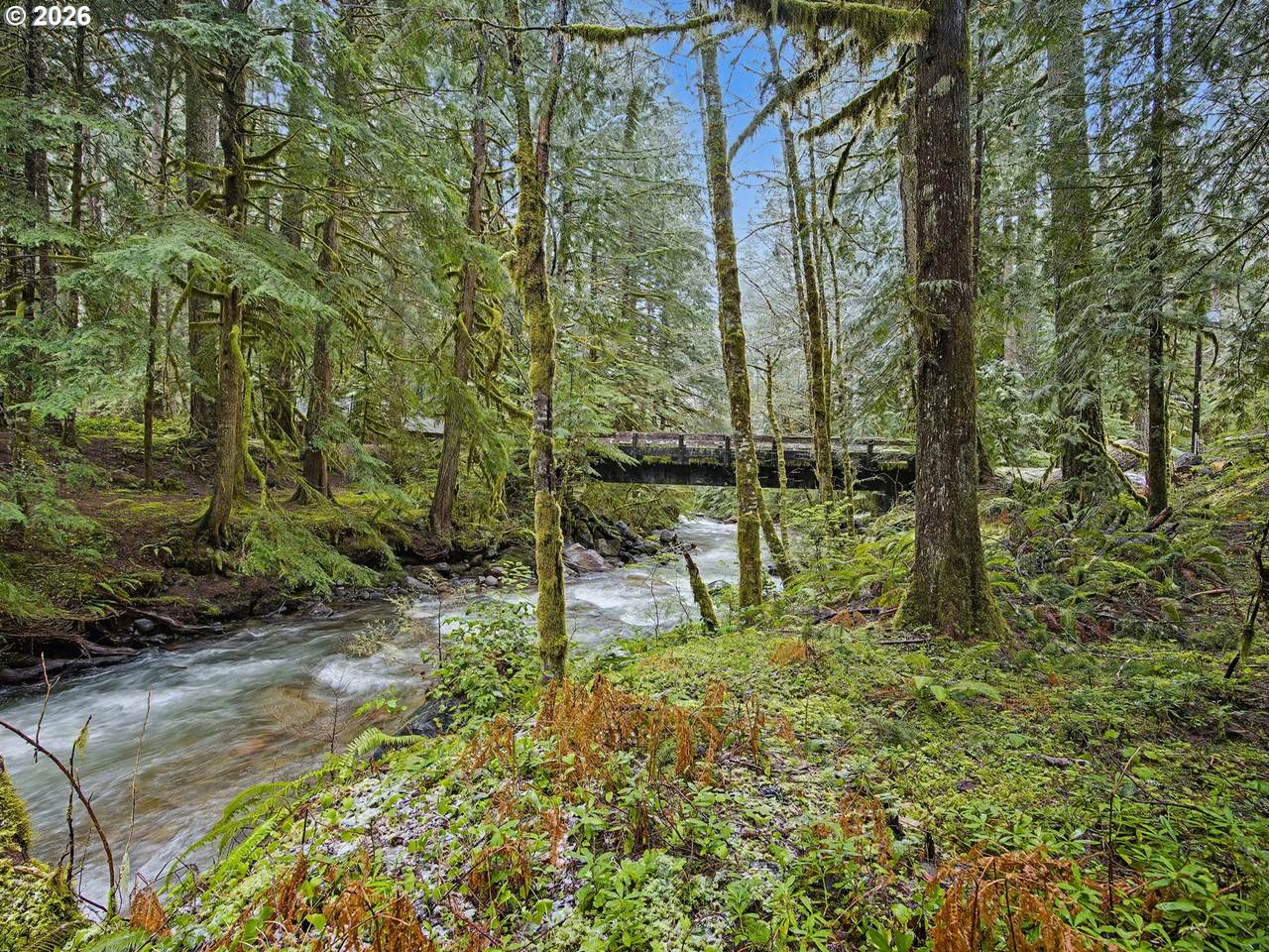 https://bt-photos.global.ssl.fastly.net/portland/1280_boomver_1_685559717-2.jpg