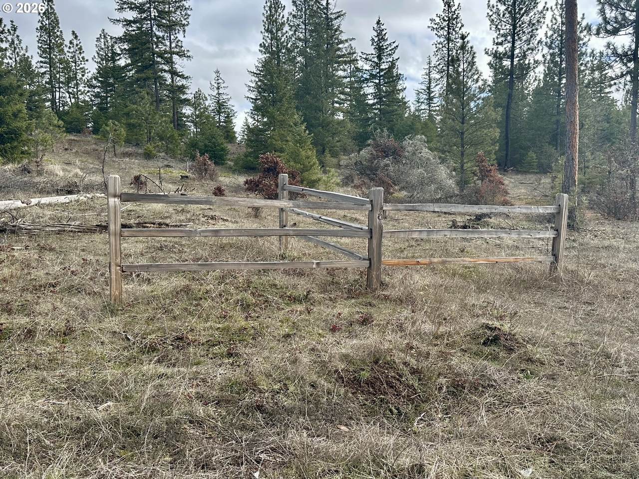 https://bt-photos.global.ssl.fastly.net/portland/1280_boomver_1_687169142-2.jpg