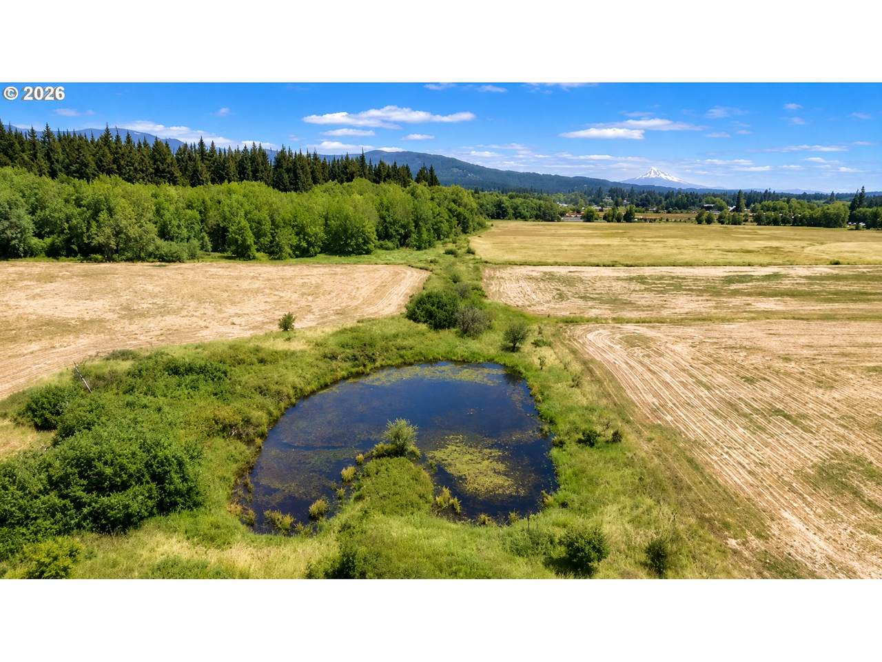 https://bt-photos.global.ssl.fastly.net/portland/1280_boomver_1_687995610-2.jpg