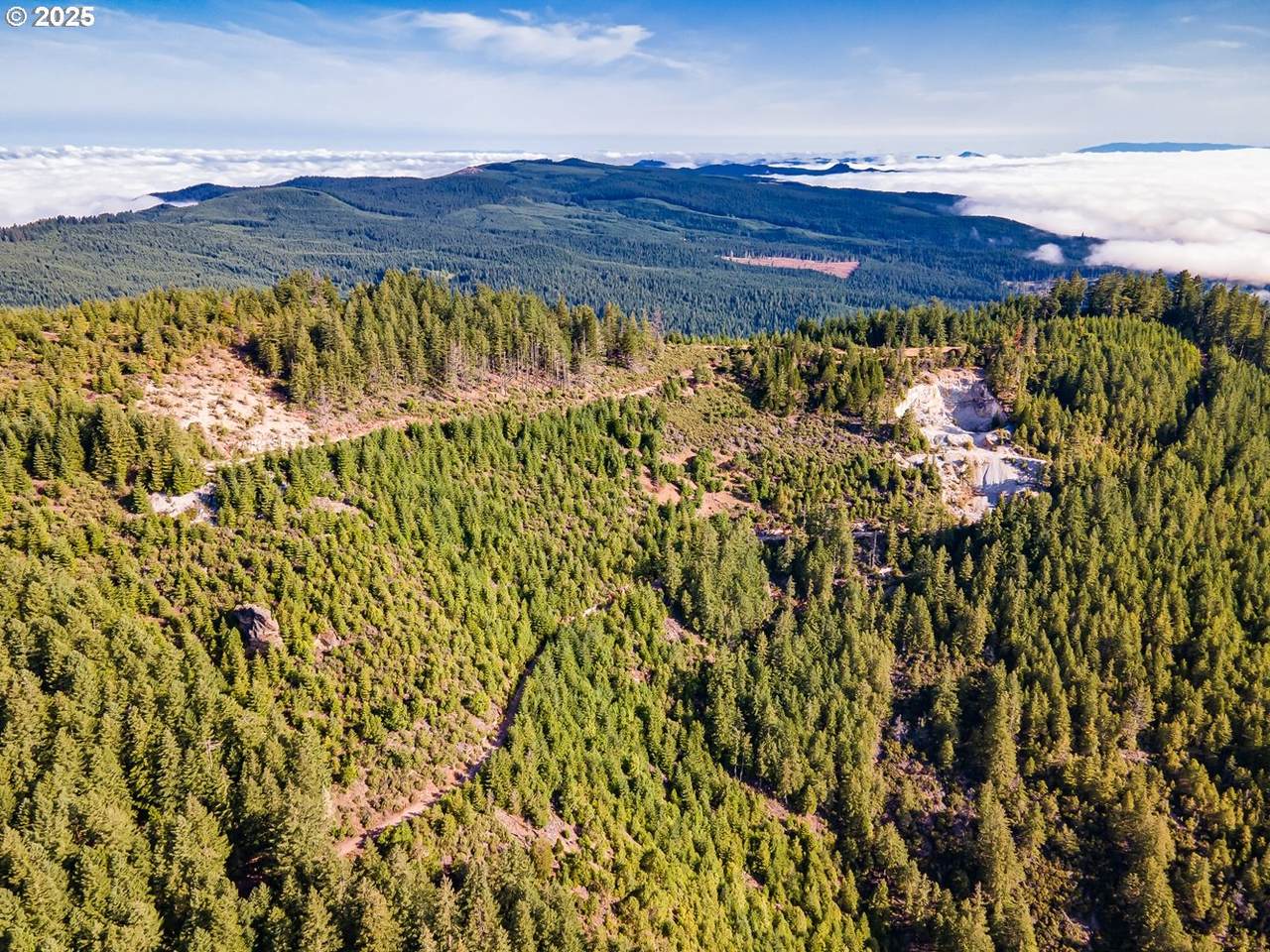  Fireclay Rd - Photo 1