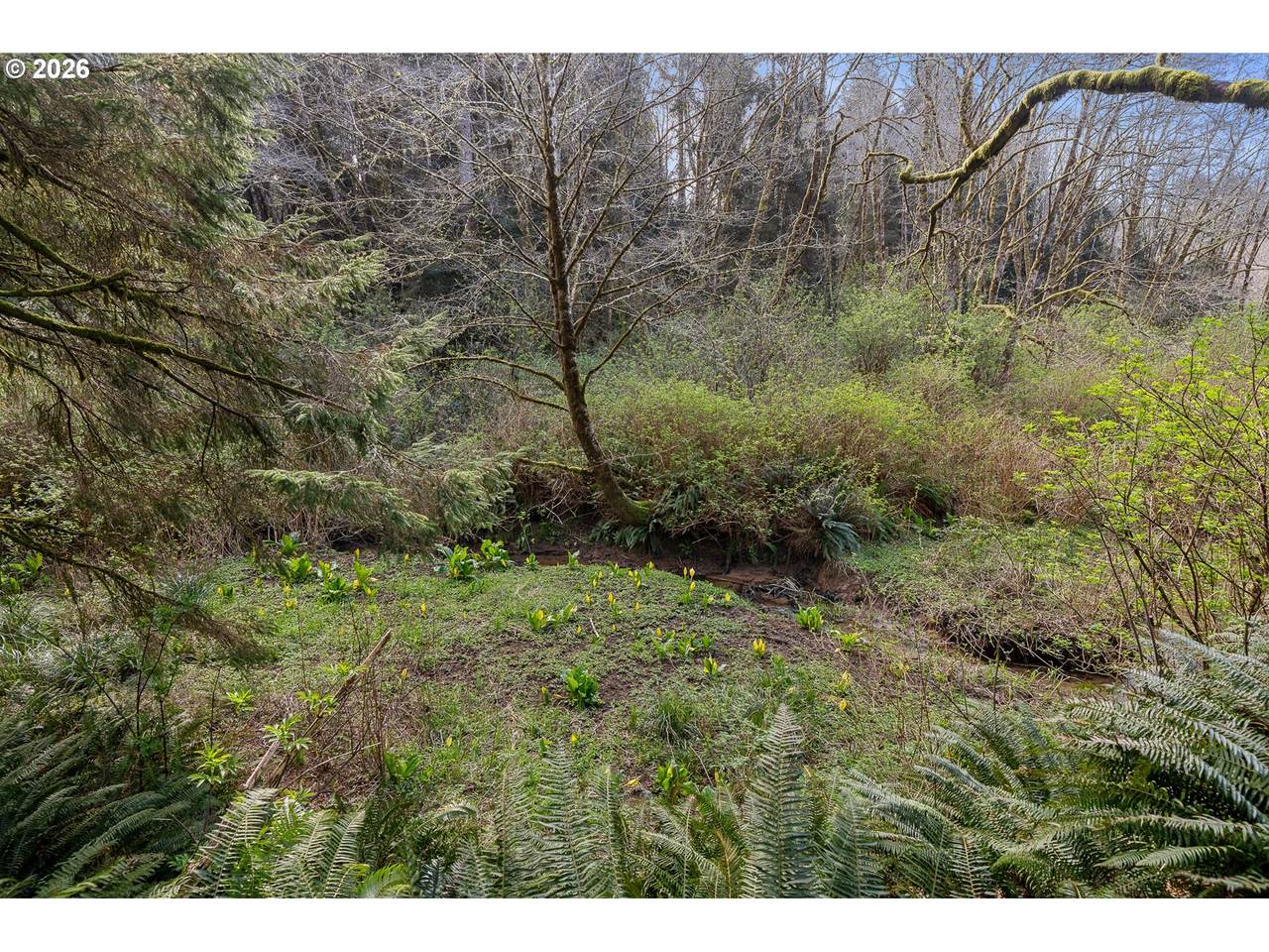 https://bt-photos.global.ssl.fastly.net/portland/1280_boomver_1_688451403-2.jpg