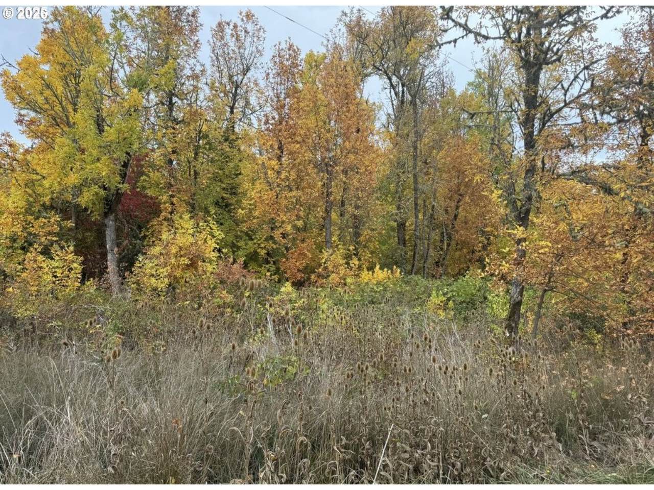 2191 Lorane Hwy - Photo 1