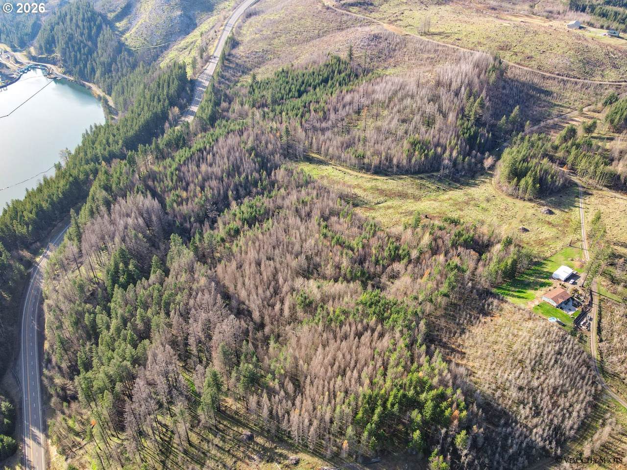 https://bt-photos.global.ssl.fastly.net/portland/1280_boomver_1_689998150-2.jpg