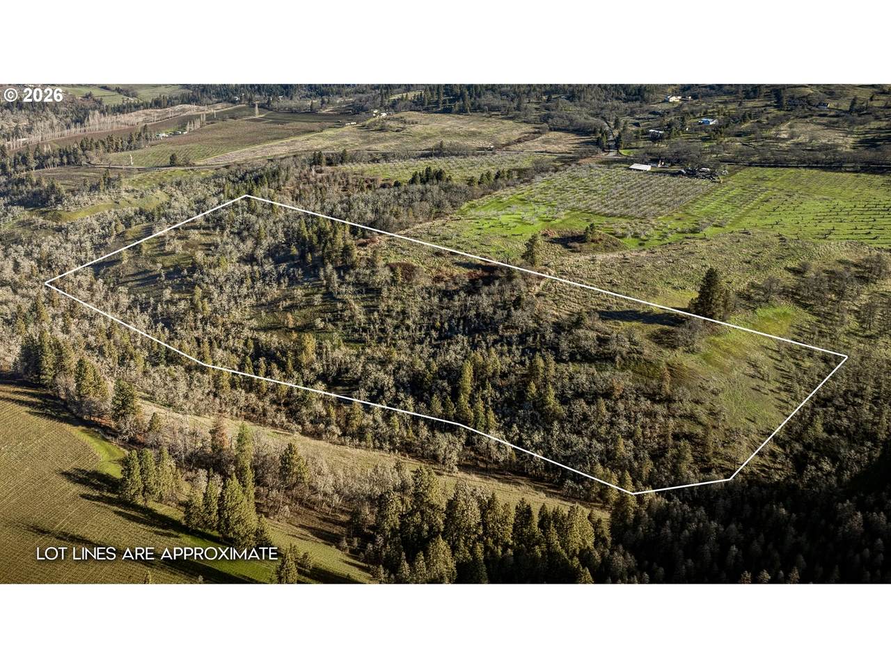  Dry Creek Rd - Photo 1