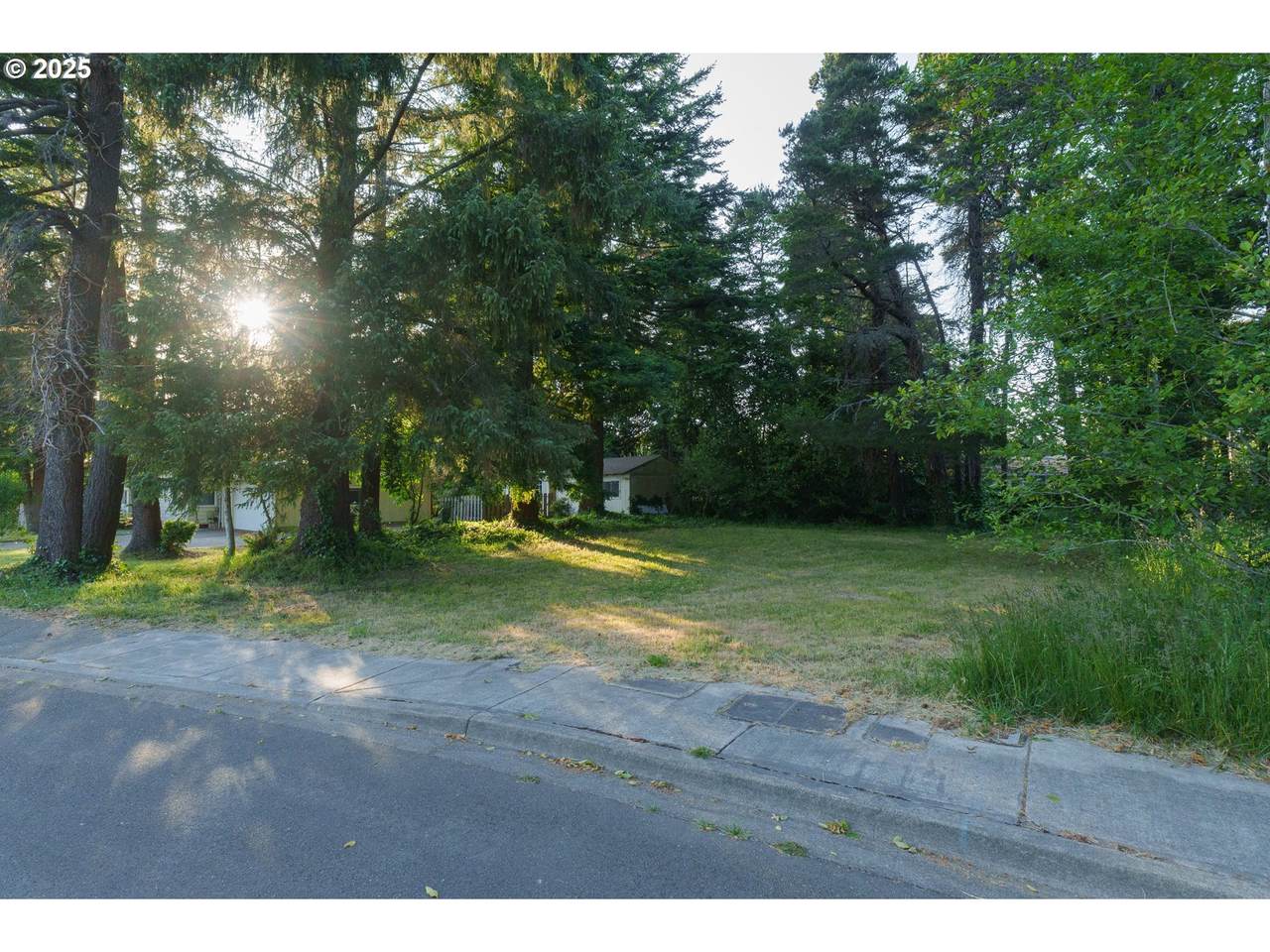 00 1st St Se - Photo 1