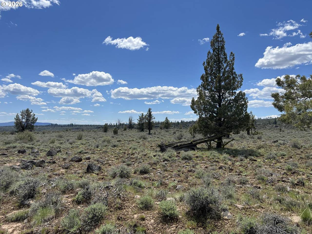 https://bt-photos.global.ssl.fastly.net/portland/1280_boomver_1_699705717-2.jpg