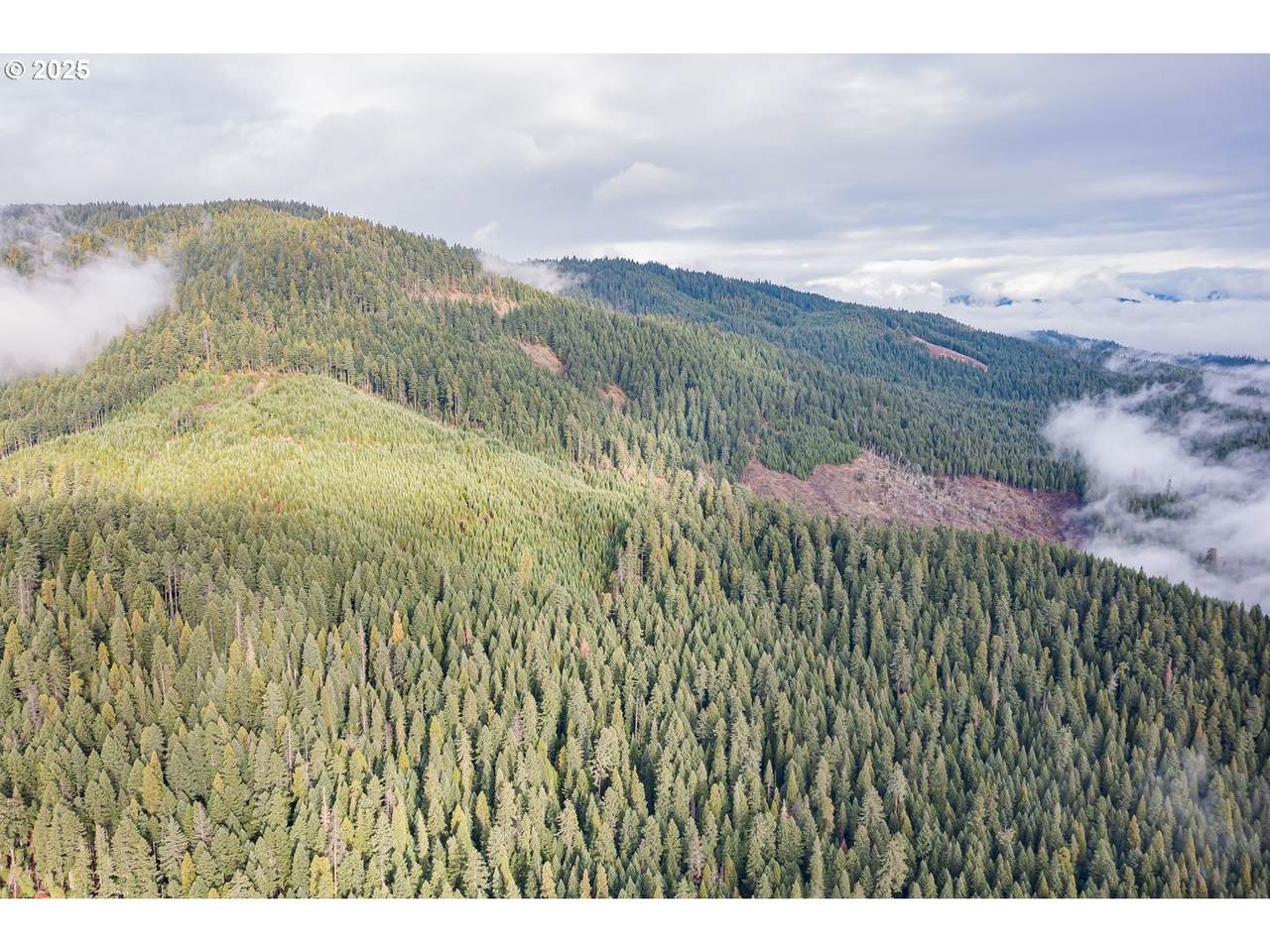  River Rd - Photo 1