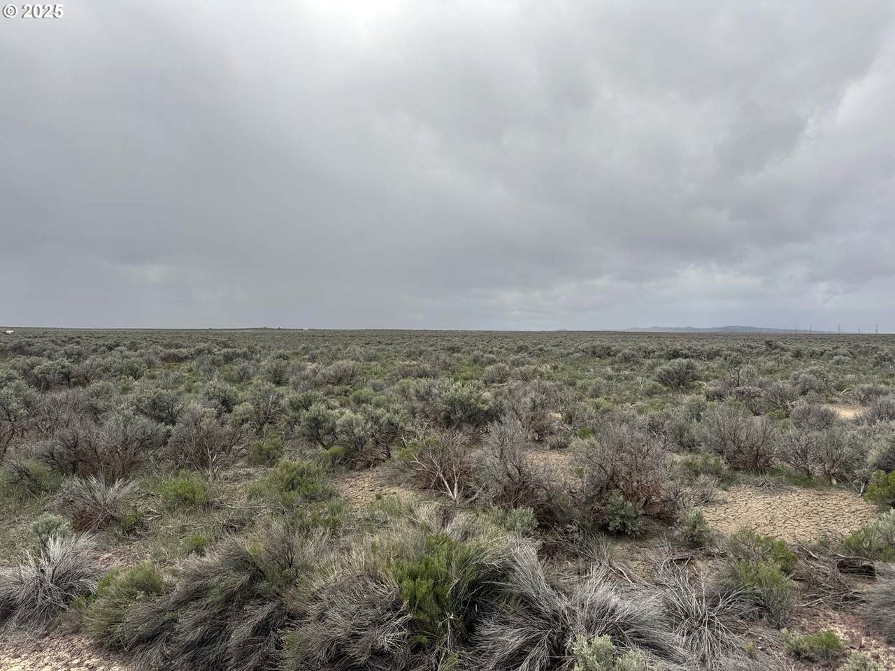  Fossil Lake Road - Photo 1