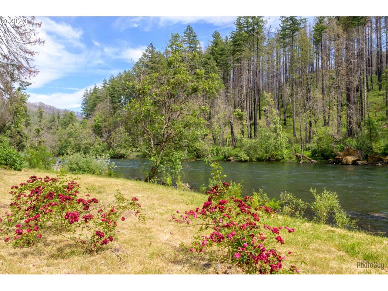 47664 Mckenzie Hwy - Photo 1