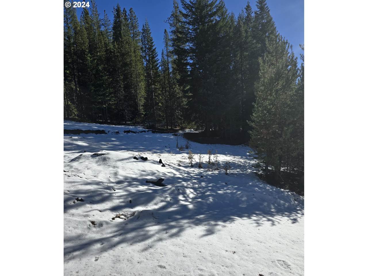 https://bt-photos.global.ssl.fastly.net/portland/1280_boomver_1_703661703-2.jpg