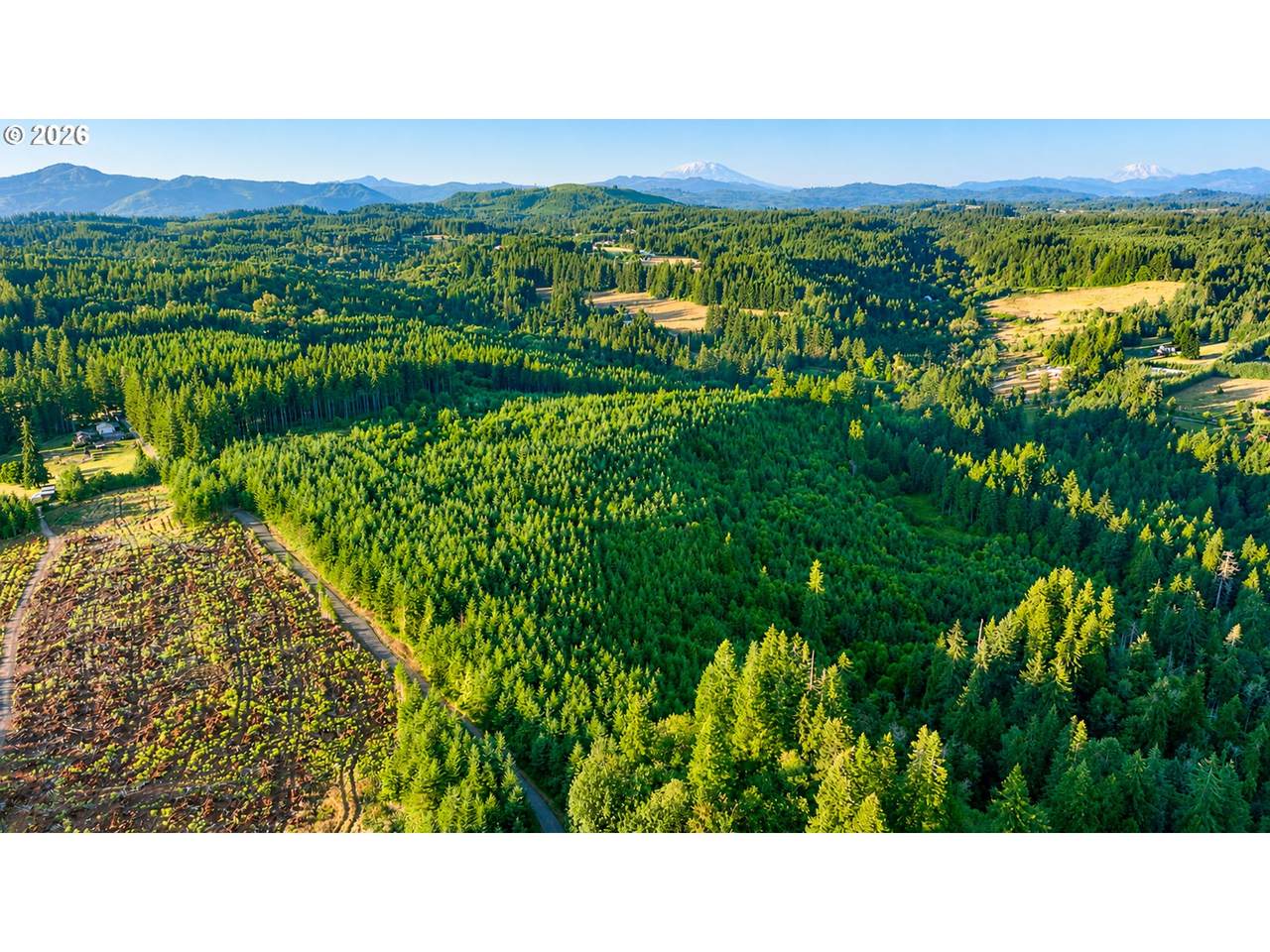 https://bt-photos.global.ssl.fastly.net/portland/orig_boomver_1_710688047-2.jpg