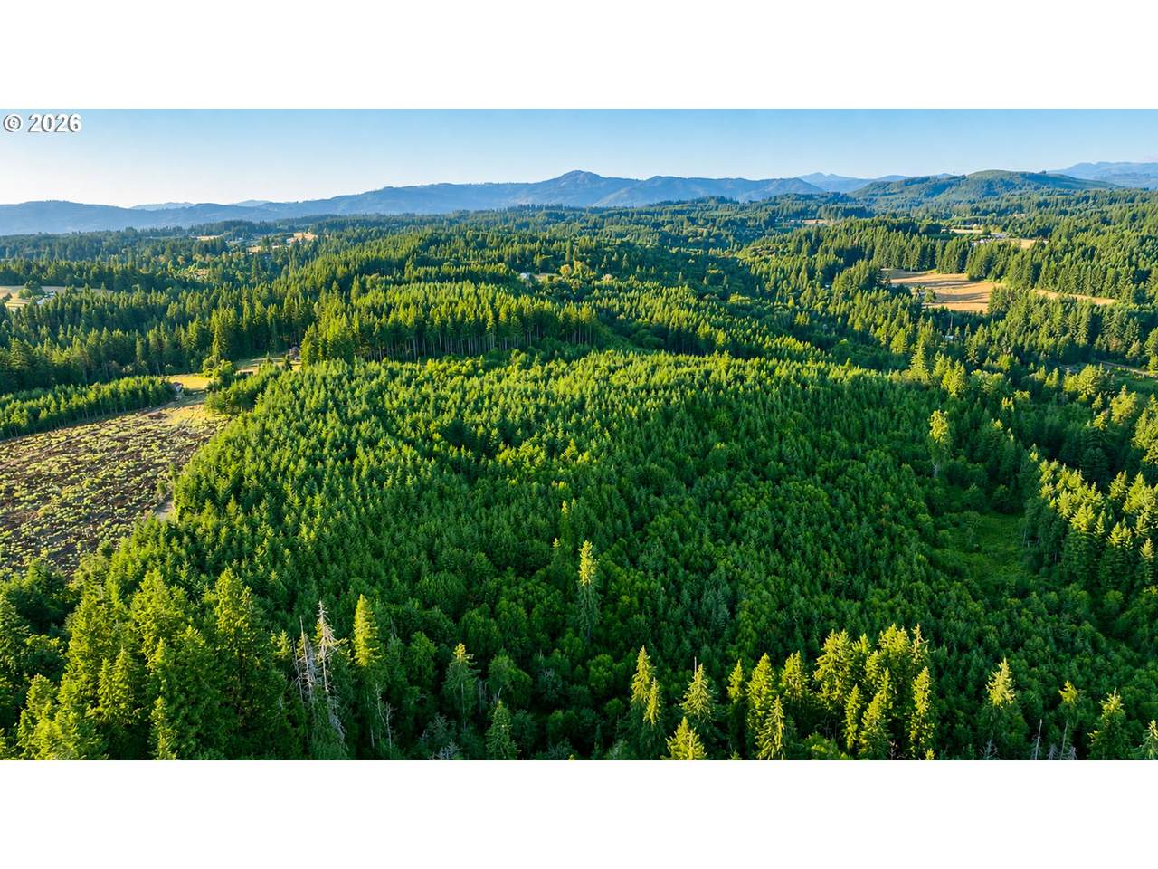https://bt-photos.global.ssl.fastly.net/portland/orig_boomver_1_710688047-2.jpg