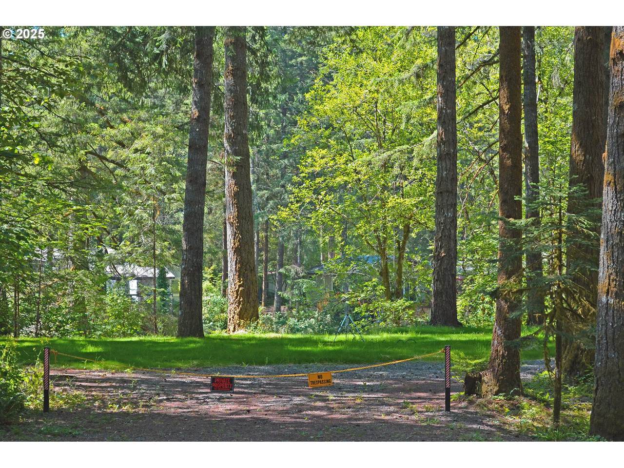 30703 Olson Rd - Photo 1