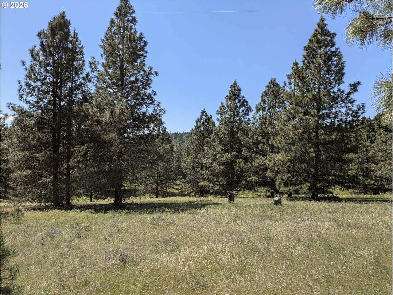 https://bt-photos.global.ssl.fastly.net/portland/1280_boomver_1_712063722-2.jpg