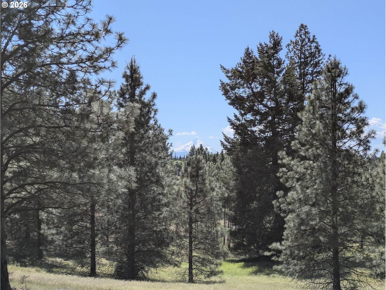 https://bt-photos.global.ssl.fastly.net/portland/1280_boomver_1_712063722-2.jpg
