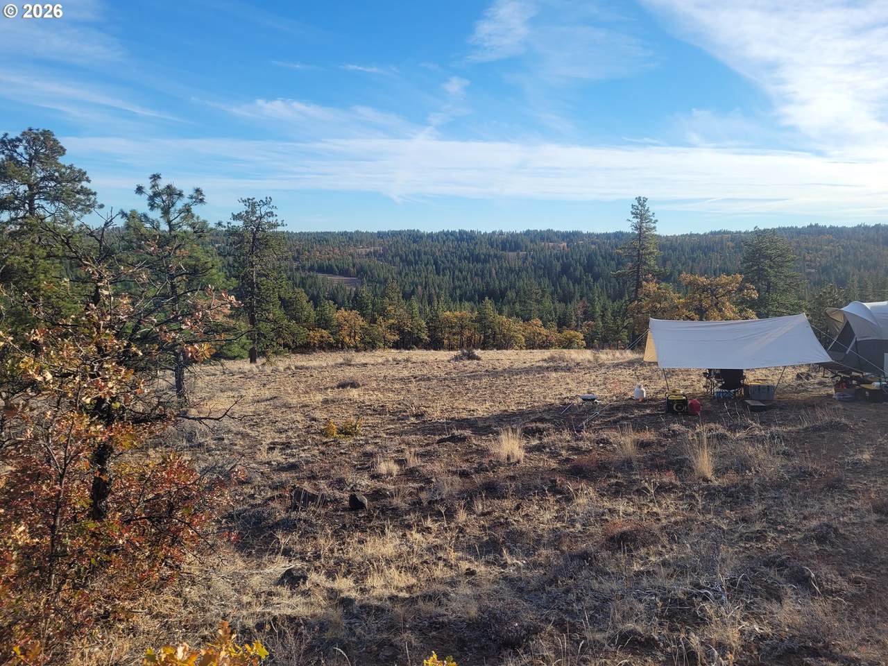 605 Pine Creek Rd - Photo 1