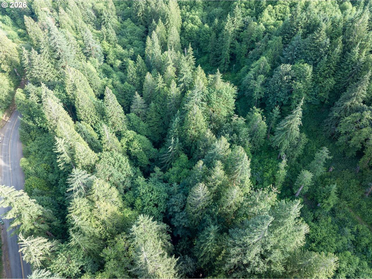 https://bt-photos.global.ssl.fastly.net/portland/1280_boomver_1_714791983-2.jpg